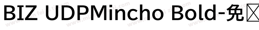 BIZ UDPMincho Bold字体转换